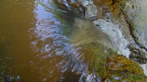 Mae Ya waterfall, Doi Inthanon national park Chiang Mai, Thailand. slow motion Stock Footage 143003428