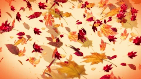 Maelstrom of Autumn Leaves Loop Background Video stock 248613055