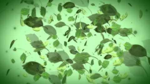Maelstrom of Green Leaves Loop Background Stock Footage 248613021