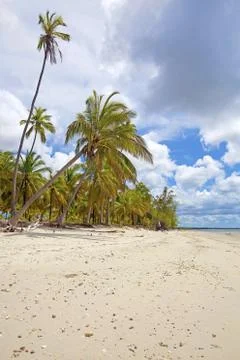 Mafia Island Stock Photos