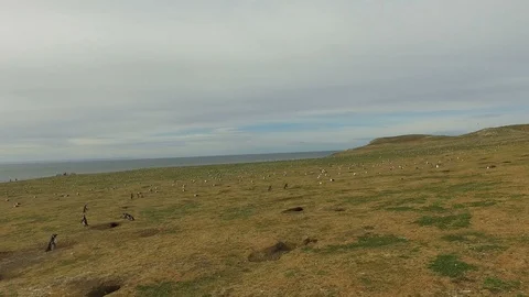 Magellan Island Video stock 100612643