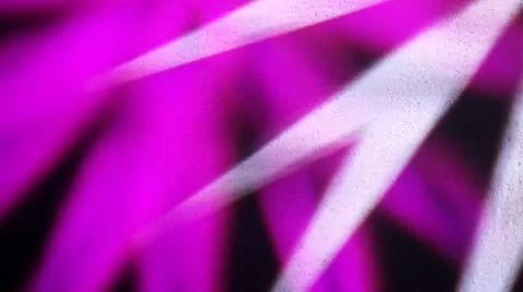Magenta and White Sharp Gobo Stock-Footage 11693839