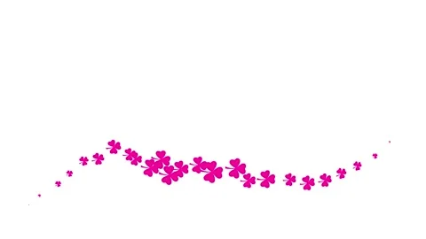 Magenta clover wave 2 white Stock Footage 250167008