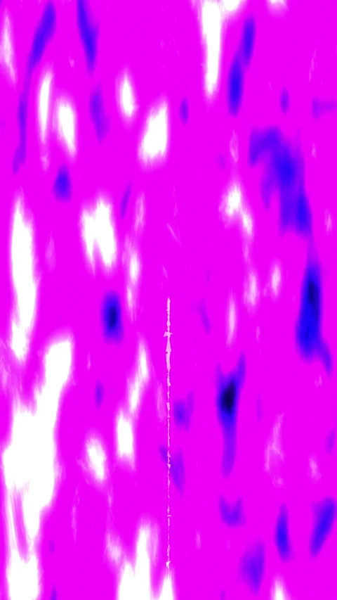 Magenta digital noise texture background with high contrast Stock-Footage 343078452