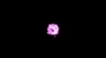 Magenta dot sparkle sprite static center screen w alpha channel HD Footage