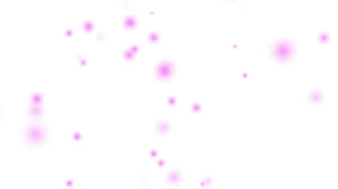 Magenta Dots Stock Footage 43239010