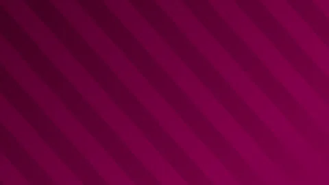 Magenta gradient background line pattern 4K seamless loop animation Stock Footage 297668743