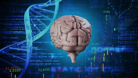 Magenta guide line animating midline brain model rotating, cyan mesh mapping Stock Footage 331126179