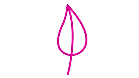 Magenta leaf drawn white Stock Footage 246861997