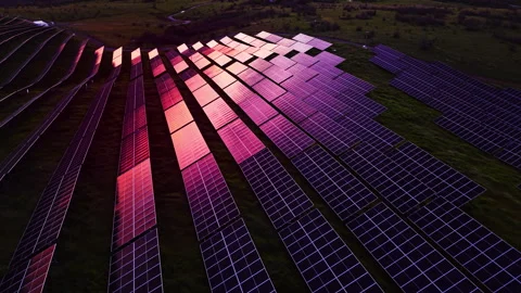 Magenta light reflects across solar panel array, Bulgaria Vídeo Stock 345153339