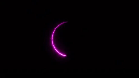 Magenta Neon Circle Loading Loop On Black Background Stock Footage 319567069
