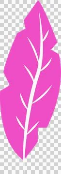 Magenta-pink flat vector leaf is showing white stem and veins on transparent 스톡 일러스트