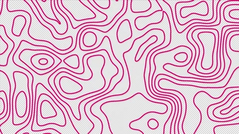 Magenta red abstract pattern with animation of morphing line as topographic map Stock Footage 243415383