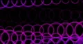 Magenta sound wave rings HD Footage