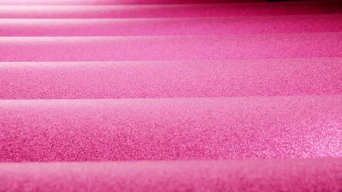 Magenta Waves, animated, render in 4k Stock Footage 229704451