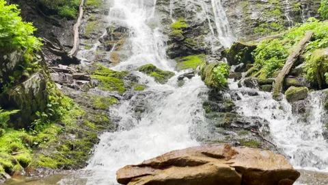 Maggie Valley Waterfall 動画素材 169061257