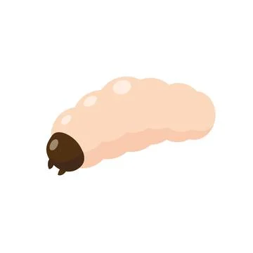 Maggot or grub larva vector isolated illustration Stock Illustration