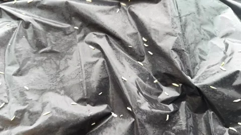 Maggots crawling on the surface of a plastic garbage bag. Stock Footage 317298626