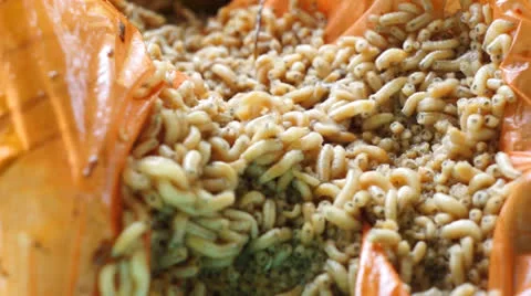 Maggots Stock Footage 24783667