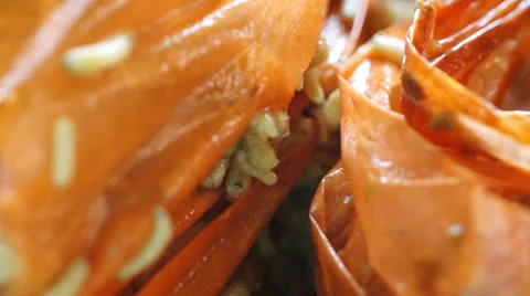 Maggots Stock Footage 24783714