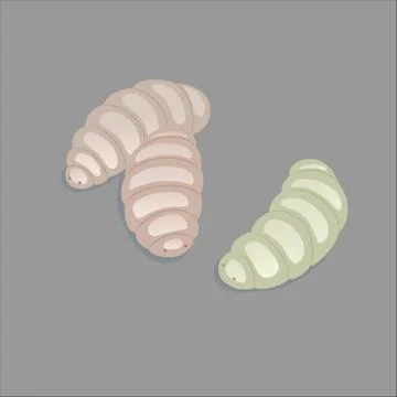 Maggots Stock-Illustration