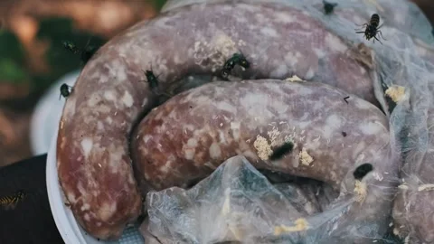 Maggots Infesting Spoiled Meat Video stock 303867290