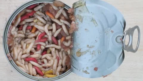 Maggots in rotten meat in a can (PAL / 25 fps) Vídeos de archivo 8973382