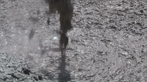 Magic of Aboriginal Uluru Stock Footage 44912825