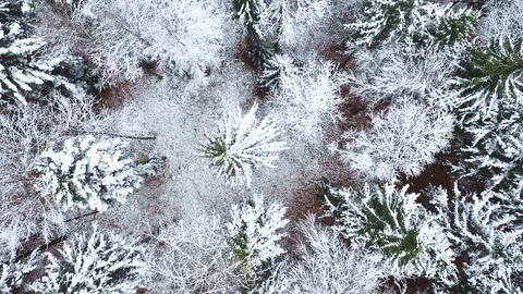 Magic aerial view of snowy winter forest during snowfall Видео 120953546