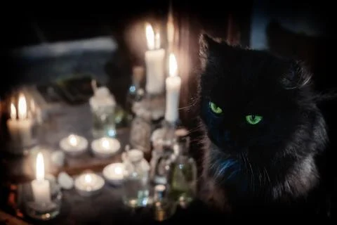 Magic attributes. Black cat and burning candles near the old mirror Stock Photos