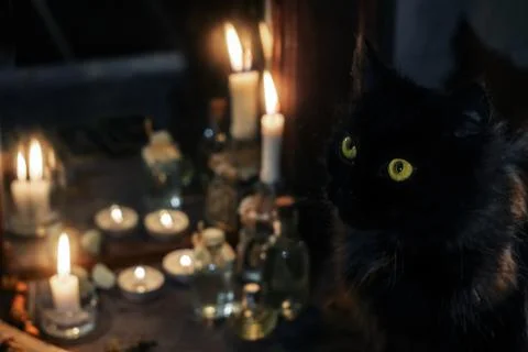Magic attributes. Black cat and burning candles near the old mirror Stock Photos