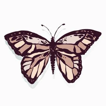 Magic Batterfly Stock Illustration