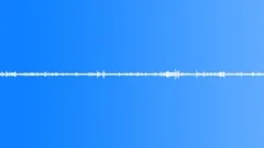 Magic Birds Singing in the Forest - Background 01Sound Effect
