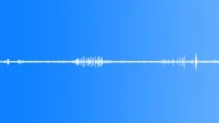 Magic Birds Singing in the Forest - Background 06Sound Effect