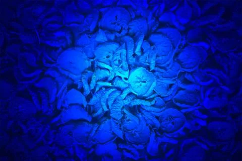 Magic blue light over abstract apple pieces pile, unknown science. Stock Illustration