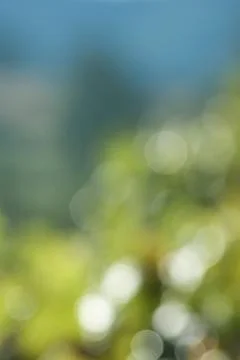 Magic blurry background Stock Photos