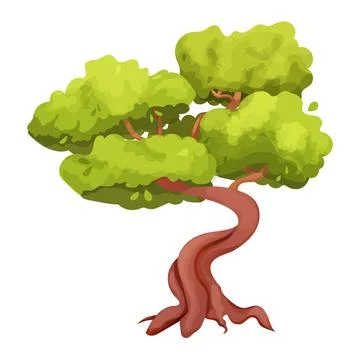 Magic Bonsai tree with twisted trunk, foliage in cartoon style, plant isolated Stock Illustration