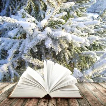 Magic book Illustrazione stock