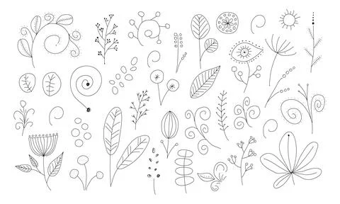 Magic botanical collection. Branches, flowers and leaves, handrawn vector i.. Stock Illustration