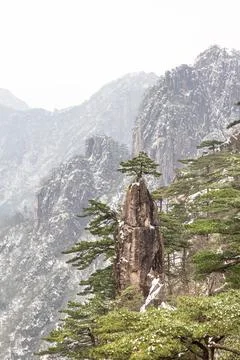 The Magic Brush with Flower on Tip Peak formation in Huangshan or Yellow Moun Stock Photos