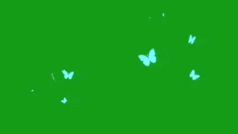 Magic butterflies motion graphics with green screen background Stock Footage 133623480