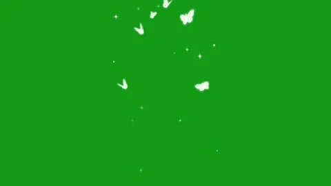 Magic butterflies motion graphics with green screen background Stock Footage