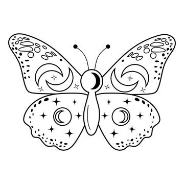 Magic butterfly. Celestial ezoteric symbol with moon and stars pattern. Illustrazione stock