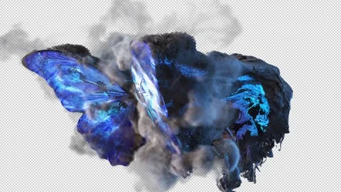 Magic Butterfly Stock Footage 245264045