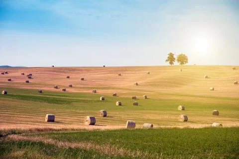 Magic is a charming incredibly beautiful harmonious landscape with twisted ha Stock Photos