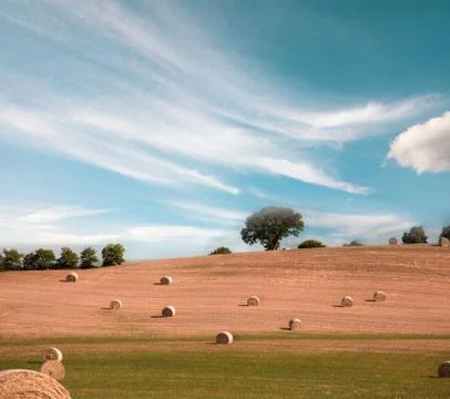 Magic is a charming incredibly beautiful harmonious landscape with twisted ha Stock Photos