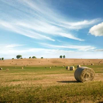 Magic is a charming incredibly beautiful harmonious landscape with twisted ha Stock Photos