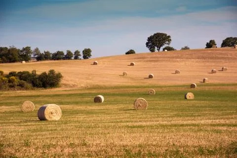 Magic is a charming incredibly beautiful harmonious landscape with twisted ha Stock Photos