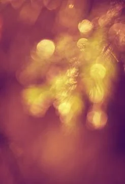 Magic Christmas background with lights Stock Photos