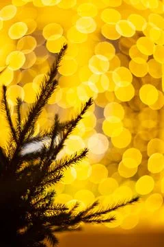 Magic Christmas background Stock Photos